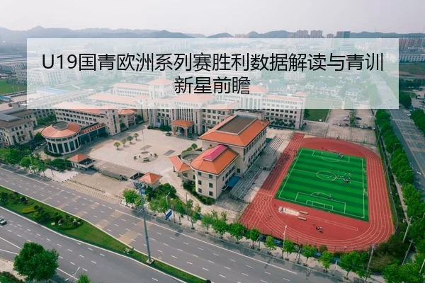 U19国青欧洲系列赛胜利数据解读与青训新星前瞻